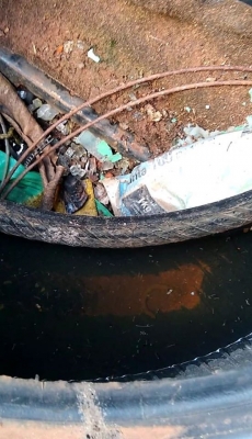 Acúmulo De Lixo Irregular Causa Risco De Infestação De Dengue Em Rondon