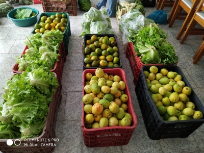 Agricultura Familiar Fornece Alimentos Para Merenda Escolar Em Rondon
