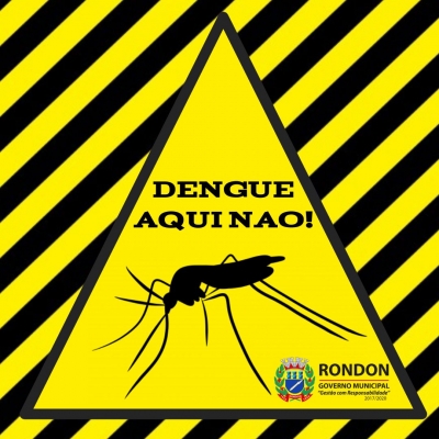 Limpeza ainda é o melhor jeito de evitar o mosquito da dengue, zika e outras doenças