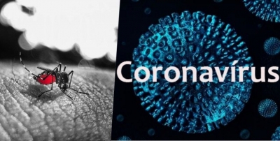 Estamos focando no coronavírus, mas não devemos esquecer da dengue