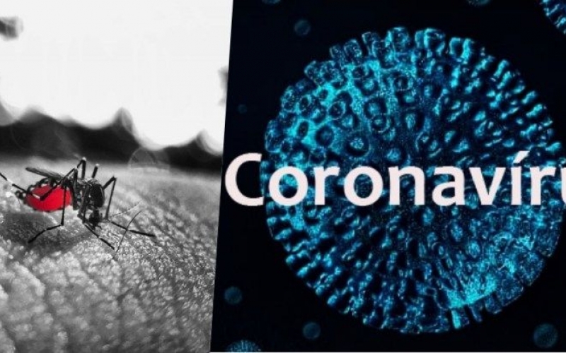 Estamos focando no coronavírus, mas não devemos esquecer da dengue
