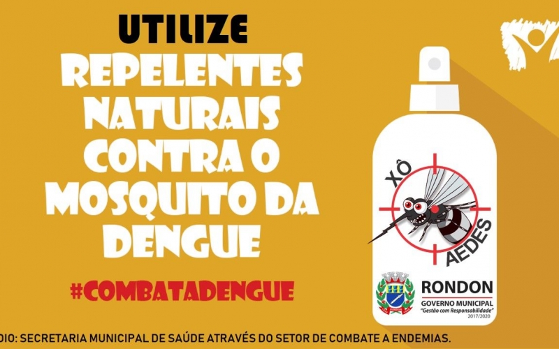Xô Aedes